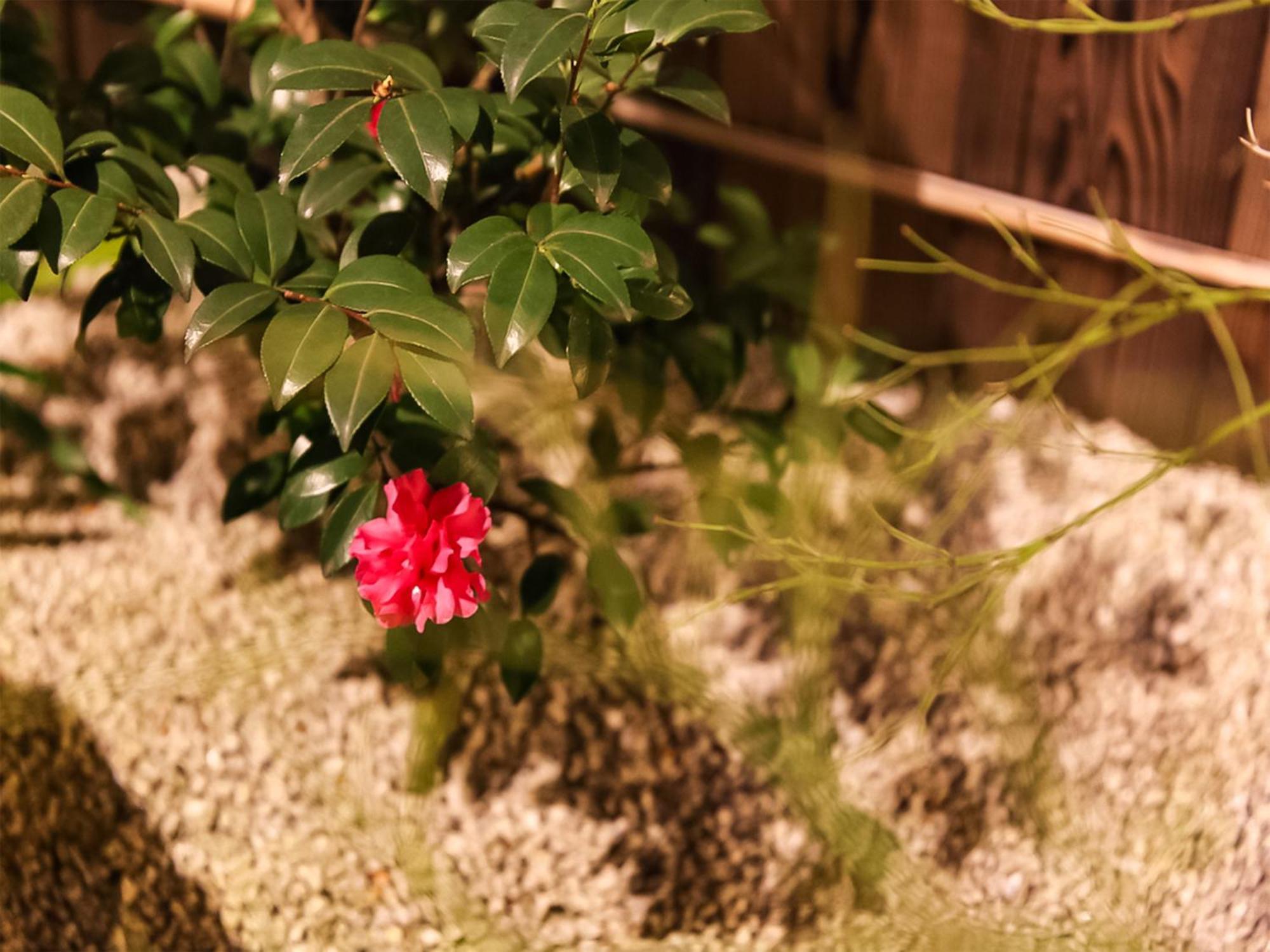 京町家お宿・花 Holiday home Kyoto