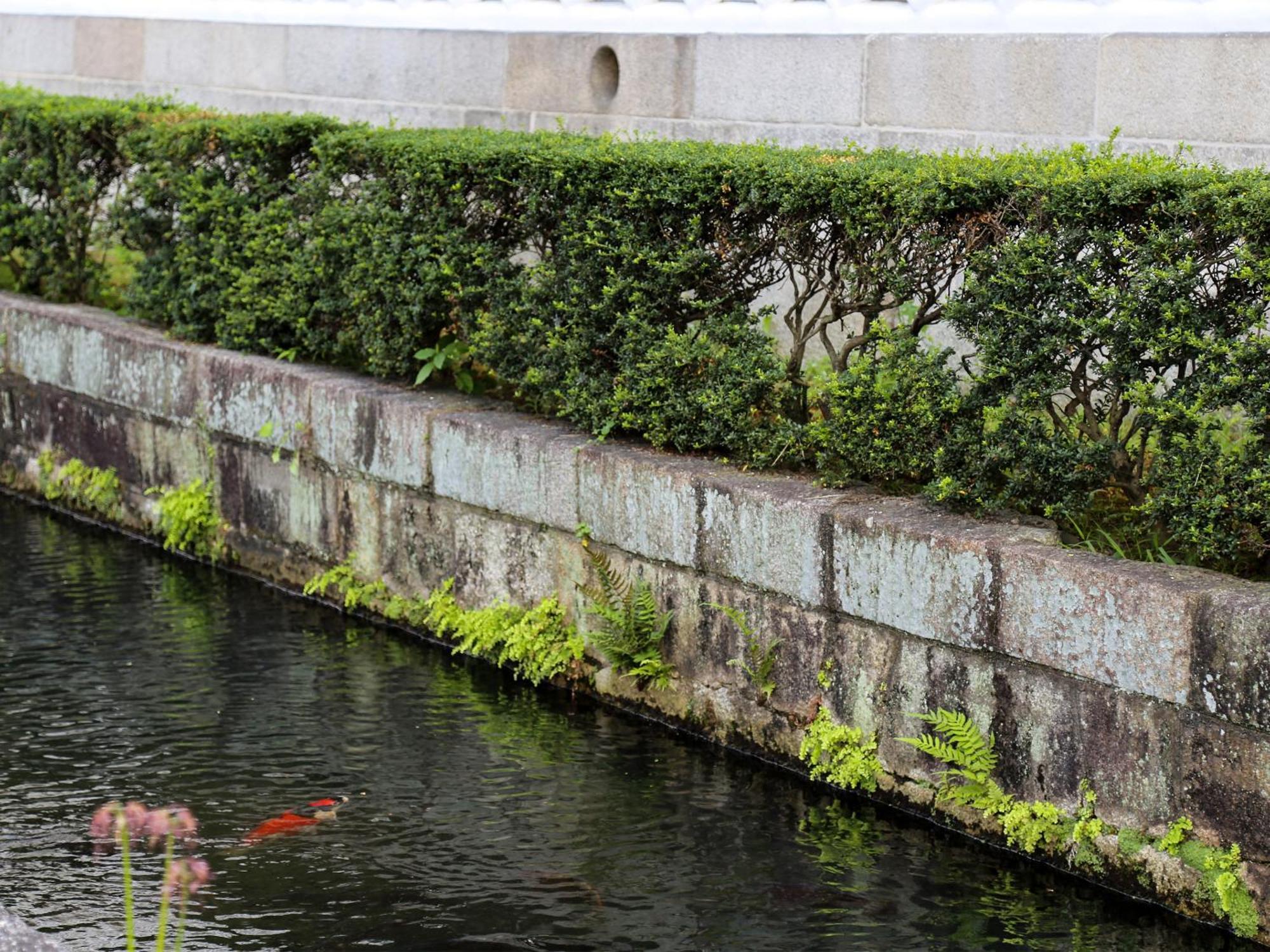 京町家お宿・花 * Kyoto